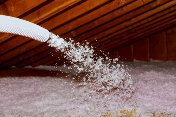 Best Home Insulation Services  in Alturas, CA