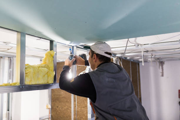 Best Insulation for New Construction  in Alturas, CA