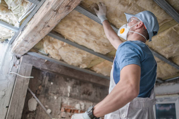 Best Insulation Repair Services  in Alturas, CA