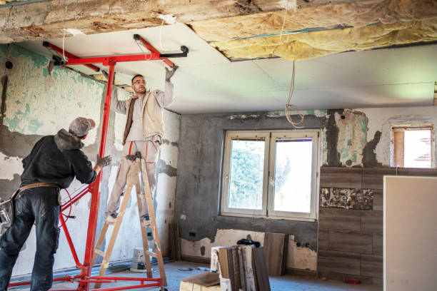 Best Insulation Removal Services  in Alturas, CA