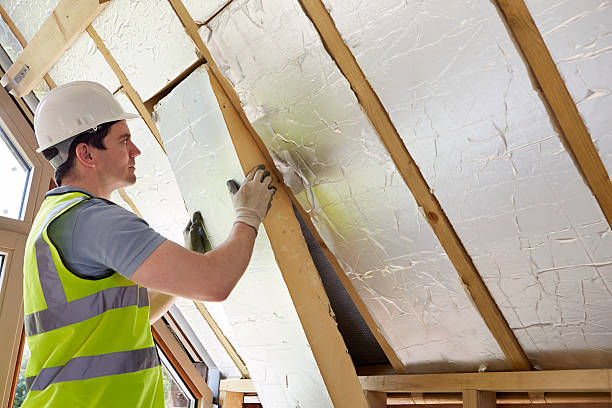 Best Attic Insulation Installation  in Alturas, CA