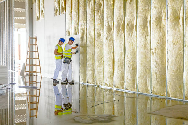 Best Spray Foam Insulation  in Alturas, CA